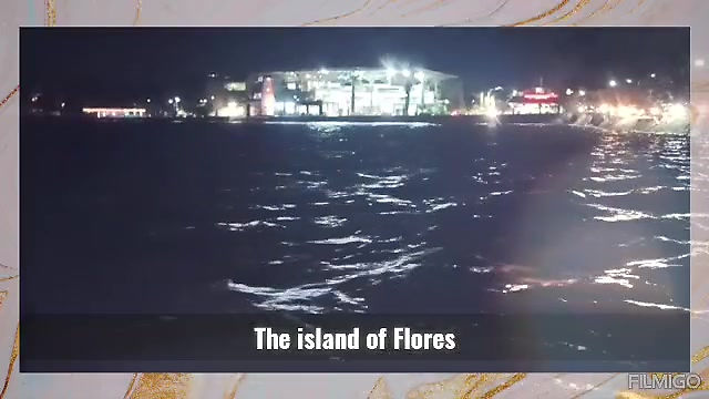 Flores by night